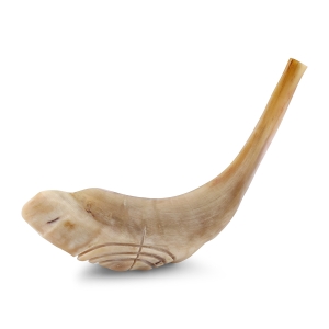 Kosher 16"-18" Ram's Horn Shofar With Menorah Engraving - Polished