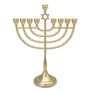 Large Classic Star of David Hanukkah Menorah with Color Option