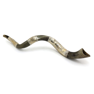 Sterling Silver Plated Yemenite Kudu Shofar – Star of David (Choice of Sizes)