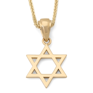 Polished 14K Yellow Gold Classic Star of David Necklace - Unisex