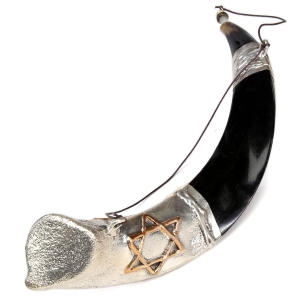 Barsheshet-Ribak Star of David and Menorah Silver Anointing Oil Yemenite Shofar