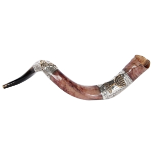 Barsheshet-Ribak Silver Yemenite Shofar with Menorah and Grapes