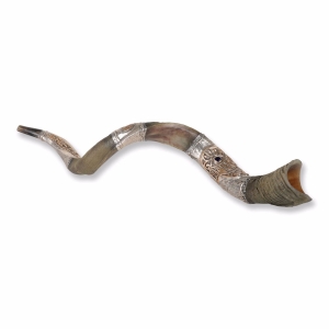 Sterling Silver Plated Yemenite Kudu Shofar – Hamsa and Evil Eye (Choice of Sizes)