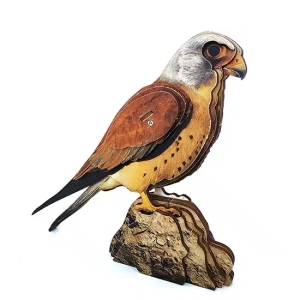 Interactive Lesser Kestrel Bird 3D Wooden Puzzle Kit