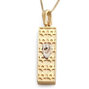 14K Gold Star of David Mezuzah Case Pendant Necklace With Hebrew Letter Shin - Yellow or White Gold