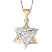 14K Yellow and White Gold Double Domed Star of David Pendant Necklace