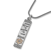 Shema Israel: Silver Pendant Necklace with Gold Star of David