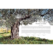 Noam Shargorodsky Customizable Watercolor Ketubah – Olive Tree