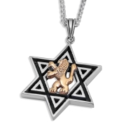 Sterling Silver & 9K Gold Star of David and Lion of Judah Necklace for Men