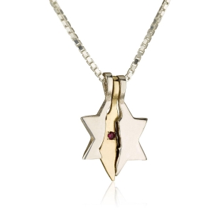 925 Sterling Silver Star of David and 14K Gold Land of Israel Necklace with Garnet Stone