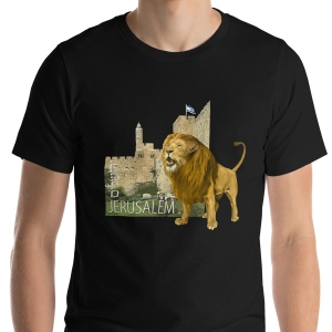 Jerusalem T-Shirt - Lion. Variety of Colors