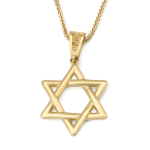 14K Gold Small Woven Star of David Pendant - Color Option