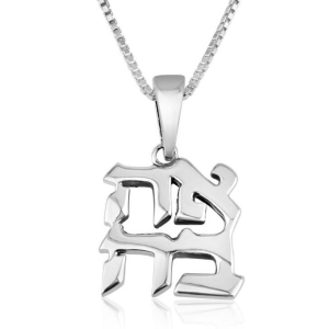 Marina Jewelry Ahava Love Sterling Silver Necklace 