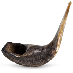 Kosher 24"-26" Classical Ram's Horn Shofar - Natural