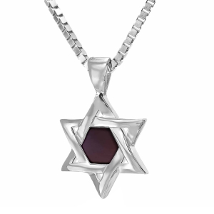 Star of David Necklace with Micro-Inscribed Bible Chip - Silver or 14K Gold