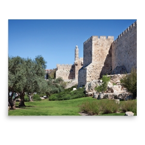 Old City of Jerusalem and Tower of David Photograph Poster