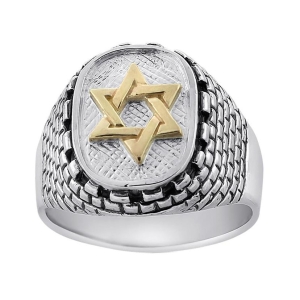 Sterling-Silver-and-14K-Gold-Star-of-David-and-Western-Wall-Ring_large.jpg