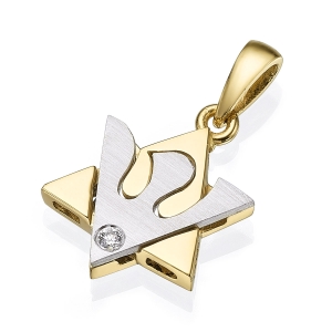 18K Yellow Gold Star of David Pendant Necklace With 18K White Gold Dove and Diamond