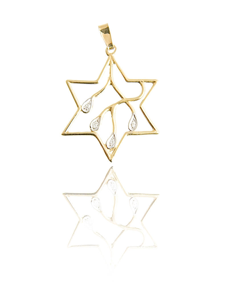   Gold and Diamonds Star of David Pendant - Branches - 1