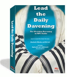  Lead the Daily Davening - 1