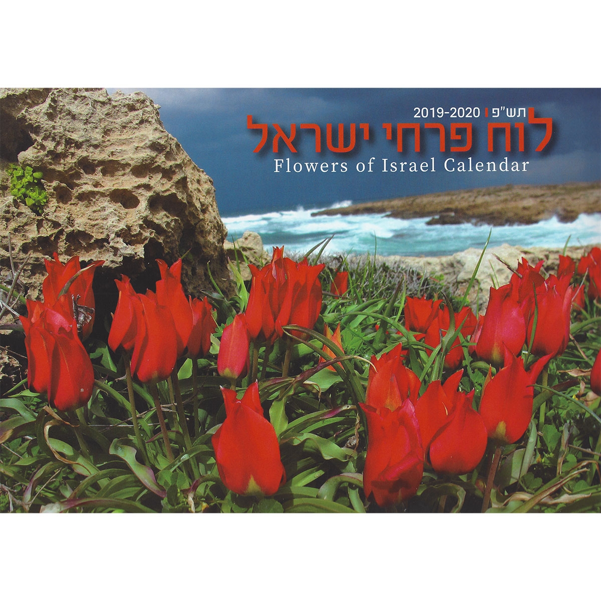 Full-Size Flowers of Israel Wall Calendar 5780 - 2019-20 - 1