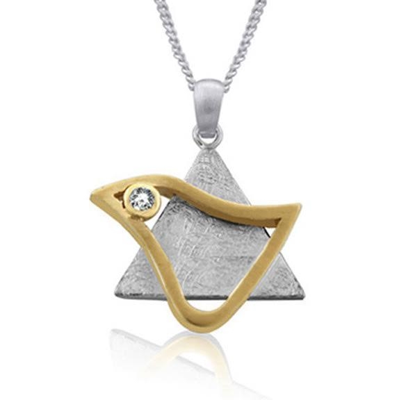 Sterling Silver and Gold Plated Star of David Necklace with Dove - 1