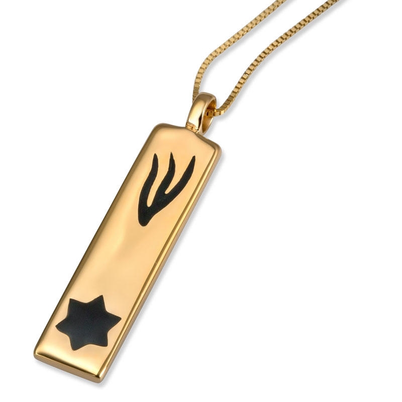 Sterling Silver Mezuzah Necklace with Shin and Star of David and 3 Micron Gold - 1