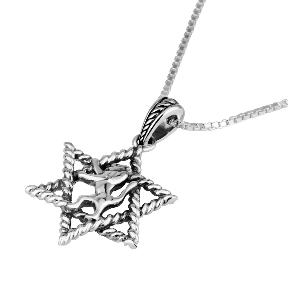 Sterling Silver Star of David with Lion of Judah Necklace Pendant - 1