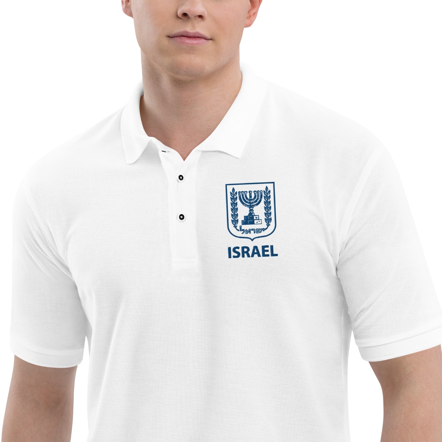 Emblem of Israel Men's Polo Shirt - 2