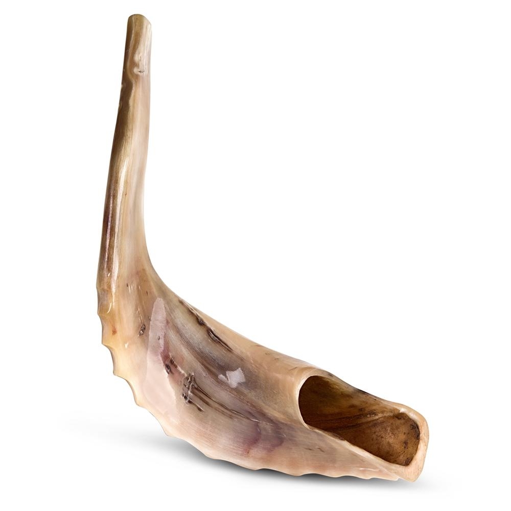 Everything You Need To Know About Buying A Shofar